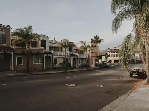 A residential street of two-story homes lined with palm trees